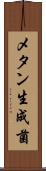 メタン生成菌 Scroll