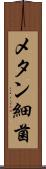 メタン細菌 Scroll