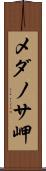 メダノサ岬 Scroll