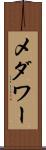 メダワー Scroll