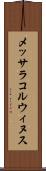 メッサラコルウィヌス Scroll