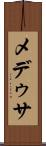 メデゥサ Scroll