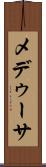 メデゥーサ Scroll