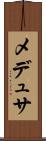 メデュサ Scroll
