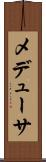 メデューサ Scroll