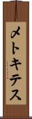 メトキテス Scroll
