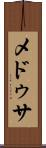メドゥサ Scroll