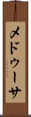 メドゥーサ Scroll