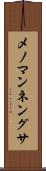 メノマンネングサ Scroll