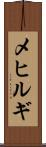 メヒルギ Scroll