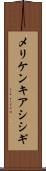 メリケンキアシシギ Scroll