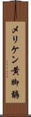 メリケン黄脚鷸 Scroll