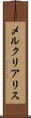 メルクリアリス Scroll