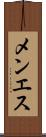 メンエス Scroll