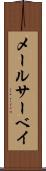 メールサーベイ Scroll