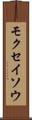 モクセイソウ Scroll
