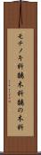モチノキ科 Scroll