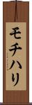 モチハリ Scroll