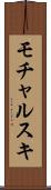 モチャルスキ Scroll