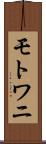 モトワニ Scroll