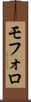 モフォロ Scroll