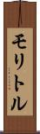 モリトル Scroll