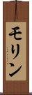 モリン Scroll