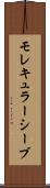 モレキュラーシーブ Scroll