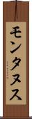 モンタヌス Scroll