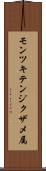 モンツキテンジクザメ属 Scroll