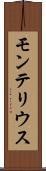 モンテリウス Scroll