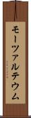 モーツァルテウム Scroll