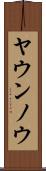 ヤウンノウ Scroll