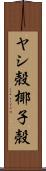 ヤシ殻 Scroll