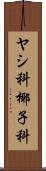 ヤシ科 Scroll