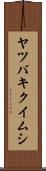 ヤツバキクイムシ Scroll