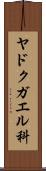 ヤドクガエル科 Scroll