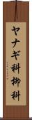 ヤナギ科 Scroll