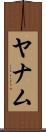 ヤナム Scroll