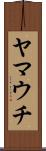 ヤマウチ Scroll