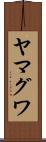 ヤマグワ Scroll