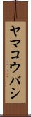 ヤマコウバシ Scroll