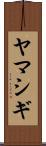ヤマシギ Scroll