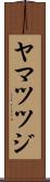 ヤマツツジ Scroll