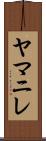 ヤマニレ Scroll