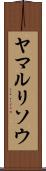 ヤマルリソウ Scroll