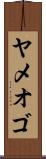 ヤメオゴ Scroll