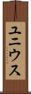 ユニウス Scroll