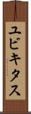 ユビキタス Scroll