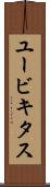 ユービキタス Scroll